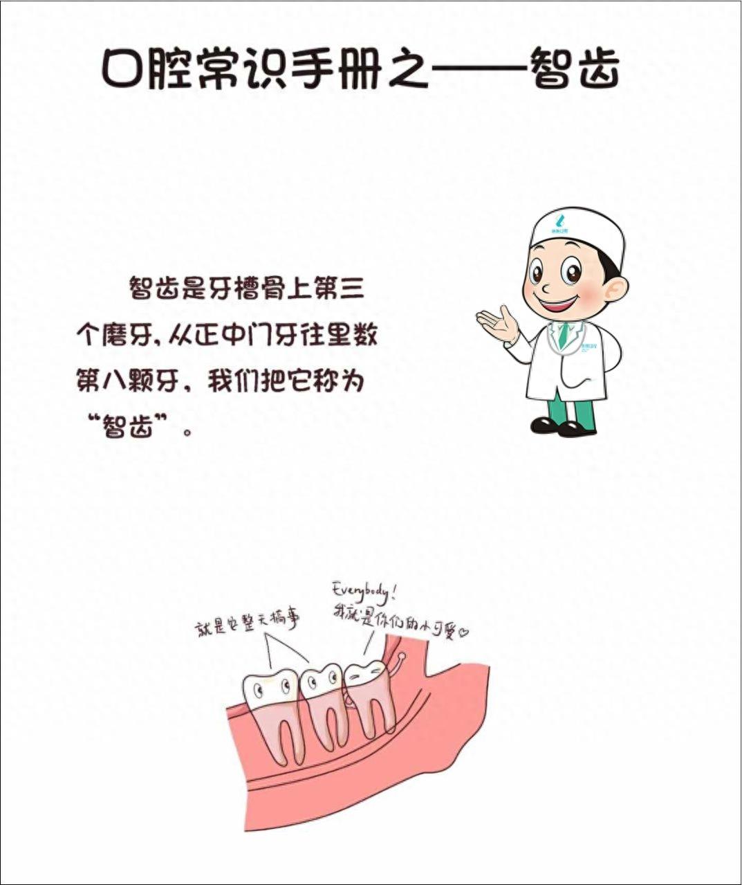 口腔常识手册之智齿，一组图带你了解智齿为什么疼