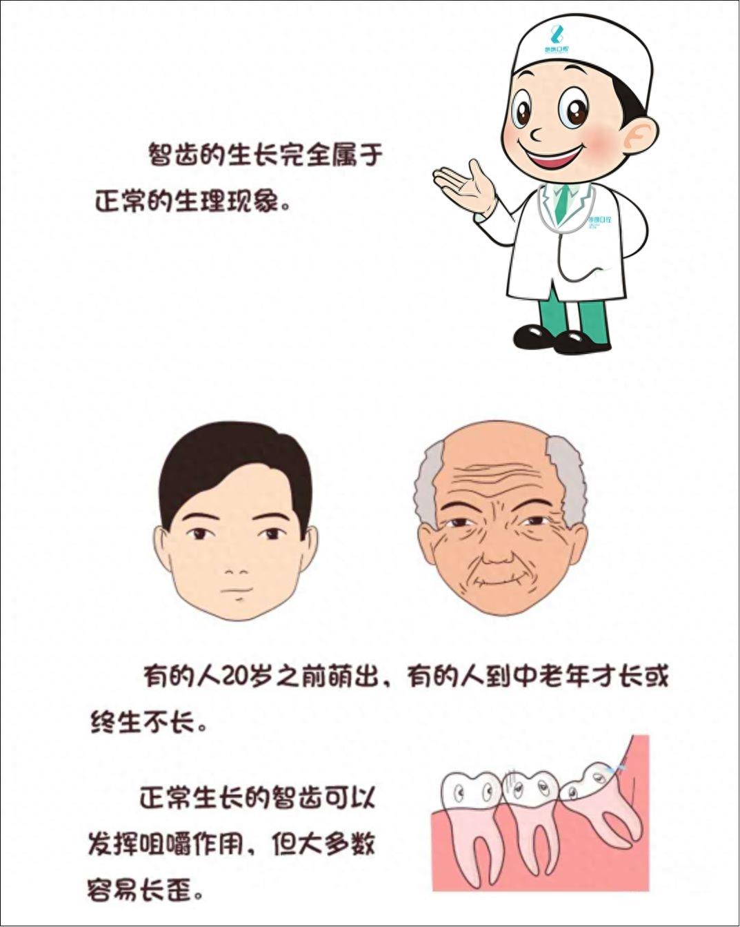 口腔常识手册之智齿，一组图带你了解智齿为什么疼
