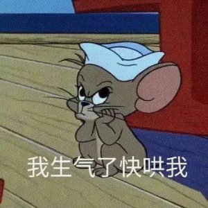 ​表情包：我生气了，快哄我