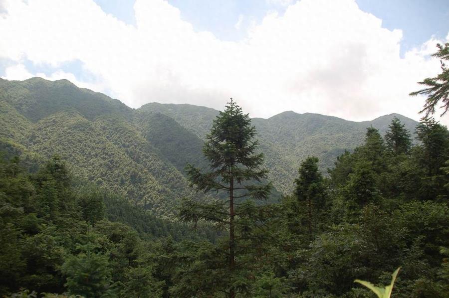湖南省怀化市麻阳苗族自治县：麻阳麻阳，长寿之乡，麻阳麻阳，美