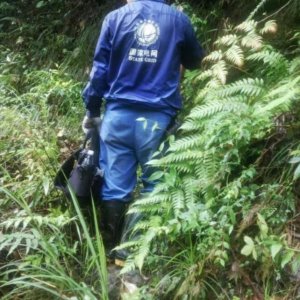 ​山蚂蟥，蜱虫那巡线路上的“吸血双煞”