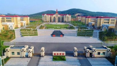 ​潍坊美加实验学校：向美而行齐奋斗 立德树人谱华章