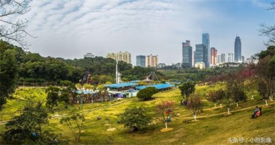 ​南宁唯一的樱花观赏地，石门森林公园