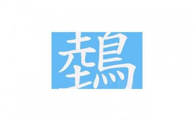 ​离婚双方常见六大问题 离婚当事人常见问题解答