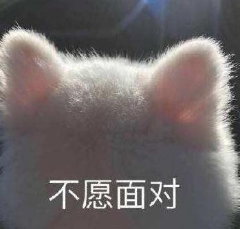 表情包人间不值得