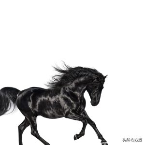 ​6首今年最红的说唱歌曲，你听过吗