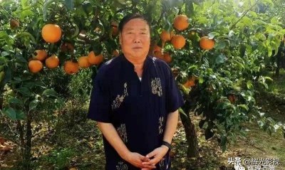 ​厚重的历史积淀 丰富的文化遗产-五莲县历史文化概述