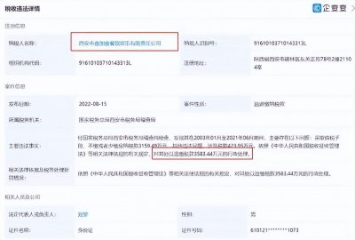 ​偷税3583万，西安壹加壹酒吧集团申请破产仍被查