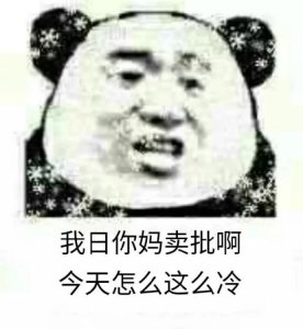 ​熊猫头天气好冷专用表情包合集｜今天怎么这么冷
