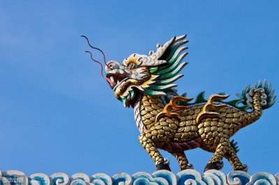 ​麒麟到底是什么生物？