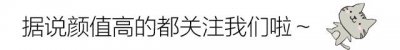​火影忍者：整部动漫原来共有5位仙人，迈特凯也是其中一个？