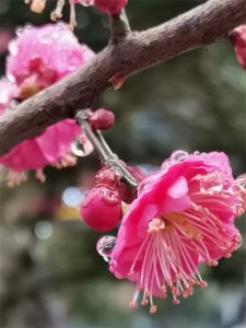 ​方文山给周董写歌词每字8000元，人生的关键，有时也就几个字而已