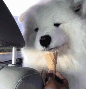 ​表情包丨emmm，你懂我意思吧