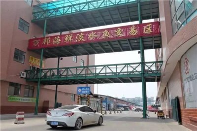 ​河南海鲜生意利润多高？工人月薪5000元