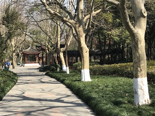 走进闸北公园(上海)