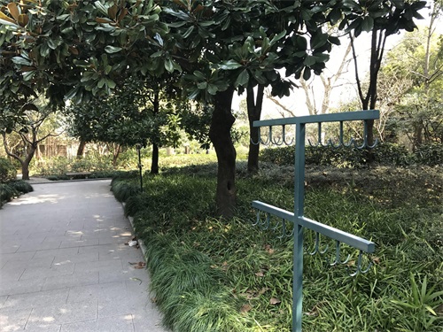 走进闸北公园(上海)