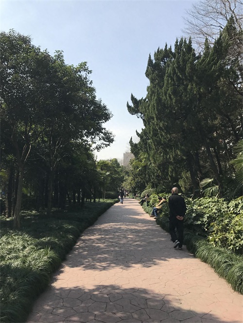 走进闸北公园(上海)