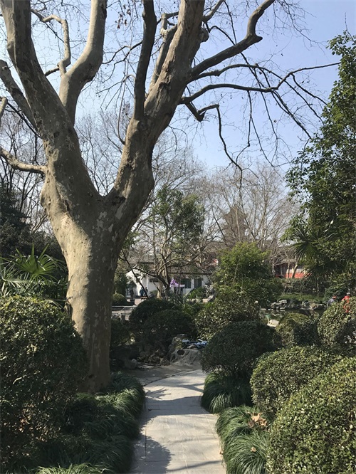 走进闸北公园(上海)