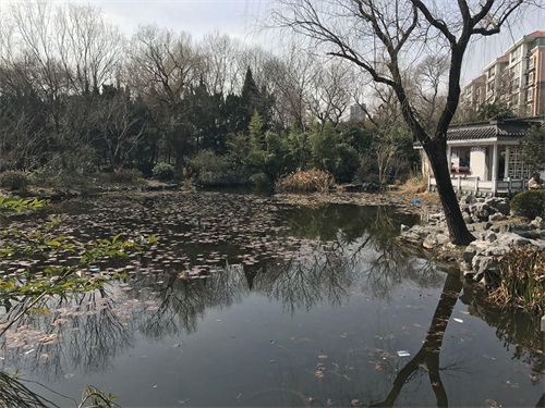 走进闸北公园(上海)