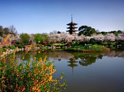​来武汉一定要去的10大景点