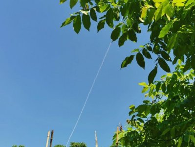 ​「综艺」快乐大本营 - 护士节专场，你是最美的天使