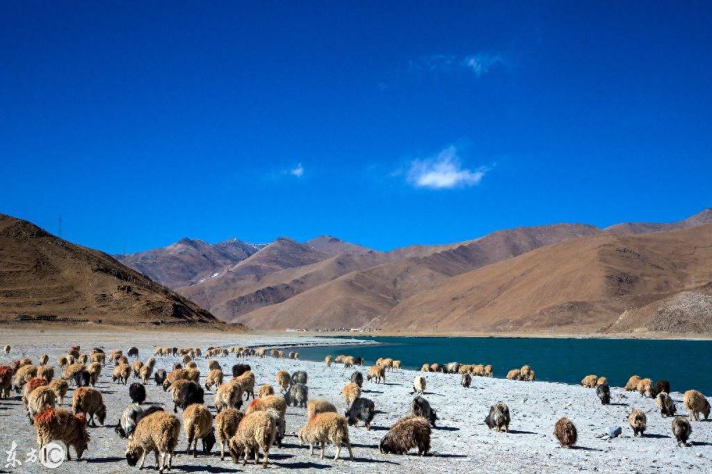 行走西藏:一个神圣的地方,你若来过,世上再无风景