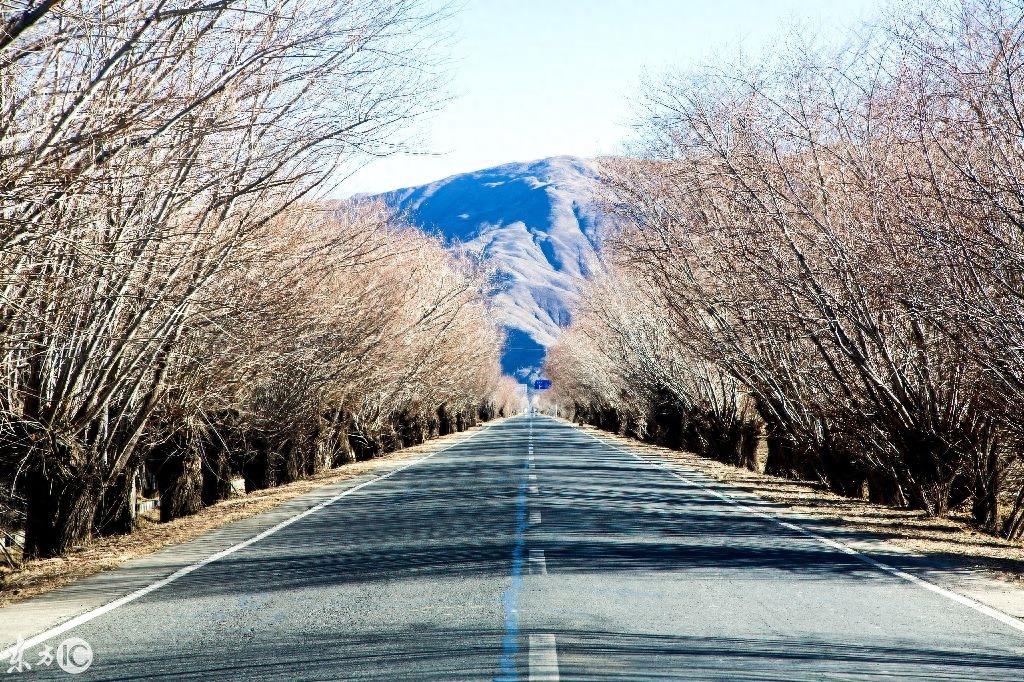 行走西藏:一个神圣的地方,你若来过,世上再无风景