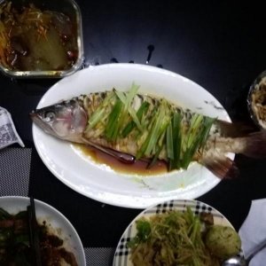 ​鱼缸里的观赏鱼能吃么？