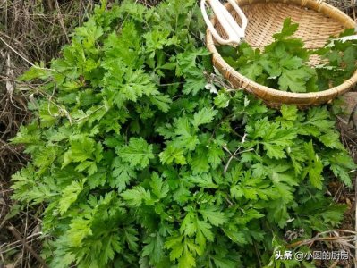 ​清明果好吃有诀窍，做法配方全教给你，碧绿Q弹不黏牙，真解馋