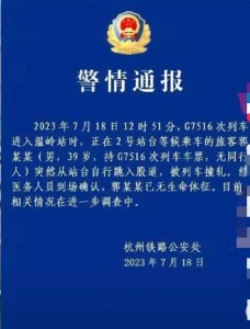 ​泪目！一男子跳入列车轨道被撞身亡，成年人的世界哪有容易二字