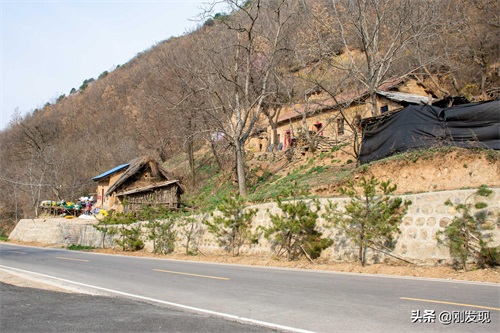 家住大山深处，听鸟语学鸟叫三十年，能把成群的“金凤凰”喊下山