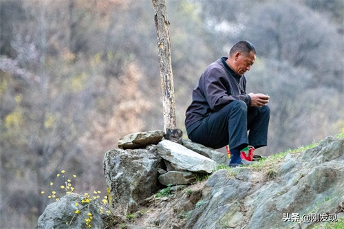 家住大山深处，听鸟语学鸟叫三十年，能把成群的“金凤凰”喊下山