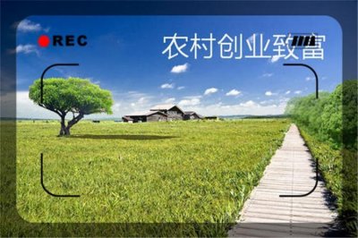 ​打工不如创业，目前农村有哪些10万元以下的小本创业项目？这几个