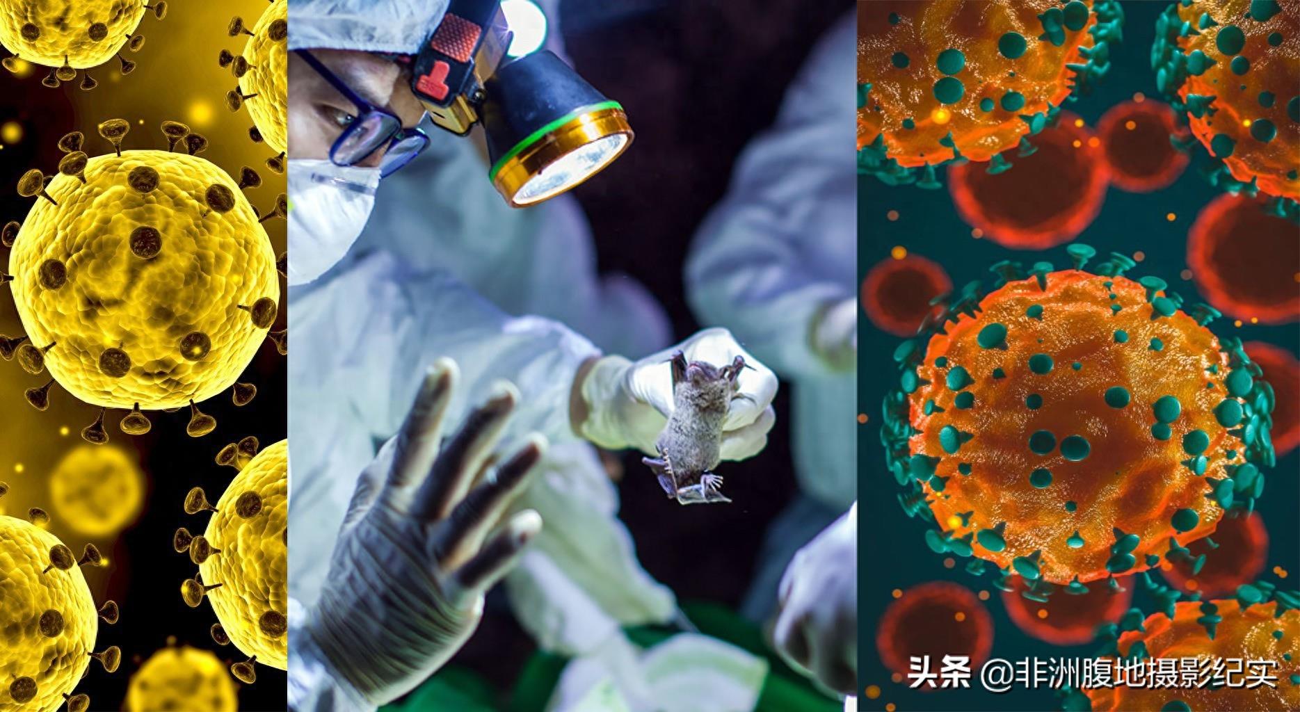 高清图片显示超级病毒真面目——真艳丽太恶毒