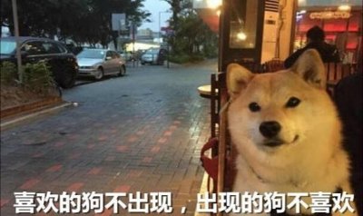 ​新西兰闹‘‘男人荒’’？别想骗我去新西兰！
