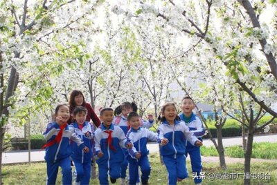 ​高密市教体局做好10件实事 让教育惠民有力度更有温度