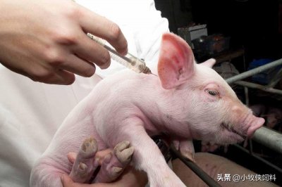 ​猪流感怎么治疗最有效？猪流行性感冒症状及治疗方法，赶快收藏！