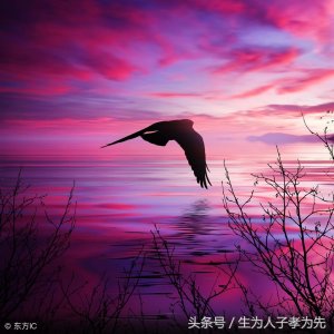 ​金子般的十句话，晚上睡不着的时候看看，这就是人生