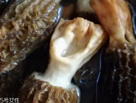 羊肚菌是怎么长出来的? 羊肚菌是怎么长出来的?