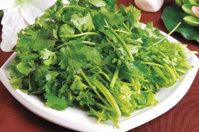 ​香菜可以放冰箱吗 香菜放冰箱能放多久
