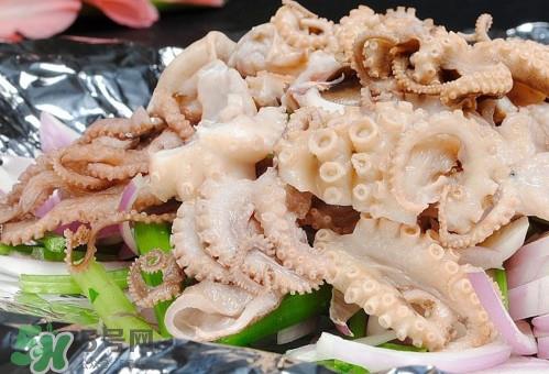 八爪鱼是鱿鱼吗?八爪鱼是章鱼吗 八爪鱼是鱿鱼吗?八爪鱼是章鱼吗