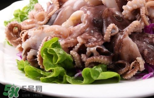 八爪鱼是鱿鱼吗?八爪鱼是章鱼吗 八爪鱼是鱿鱼吗?八爪鱼是章鱼吗