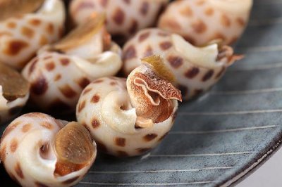 ​花螺要剪屁股吗 花螺买回来怎么处理