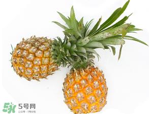 皮皮虾和菠萝能一起吃吗?吃完皮皮虾能吃菠萝吗? 皮皮虾和菠萝能一起吃吗?吃完皮皮虾能吃菠萝吗?
