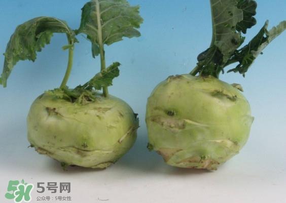苤蓝怎么读?苤蓝孕妇可以吃吗 苤蓝怎么读?苤蓝孕妇可以吃吗