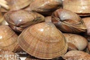 河蚌什么人不能吃 吃河蚌注意事项 河蚌什么人不能吃 吃河蚌注意事项