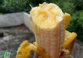 芭蕉热量高吗?芭蕉可以减肥吗 芭蕉热量高吗?芭蕉可以减肥吗