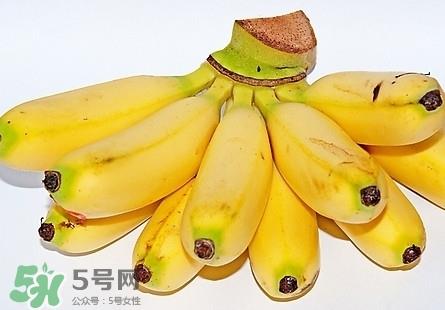 芭蕉热量高吗?芭蕉可以减肥吗 芭蕉热量高吗?芭蕉可以减肥吗