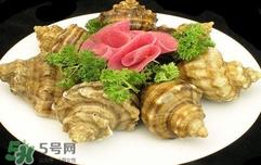 海螺是蒸还是煮?海螺的尾部是黄还是屎 海螺是蒸还是煮?海螺的尾部是黄还是屎