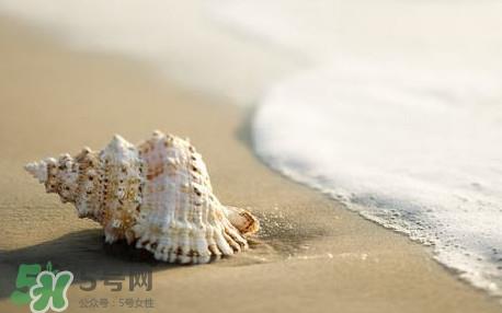 海螺是蒸还是煮?海螺的尾部是黄还是屎 海螺是蒸还是煮?海螺的尾部是黄还是屎